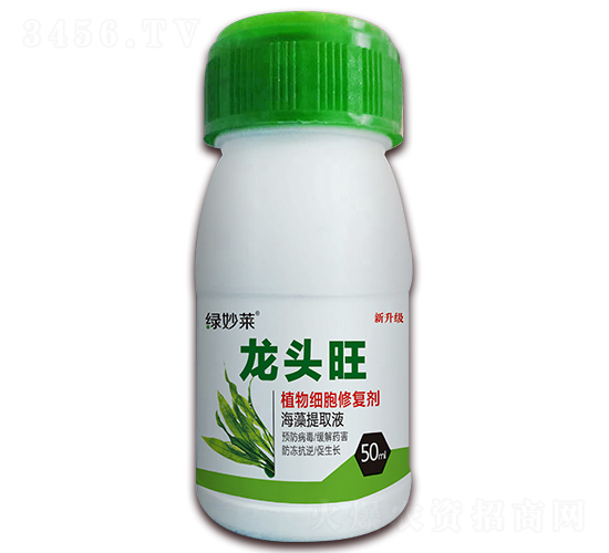 ֲ�：���ޏ̈́�-���^��-������A