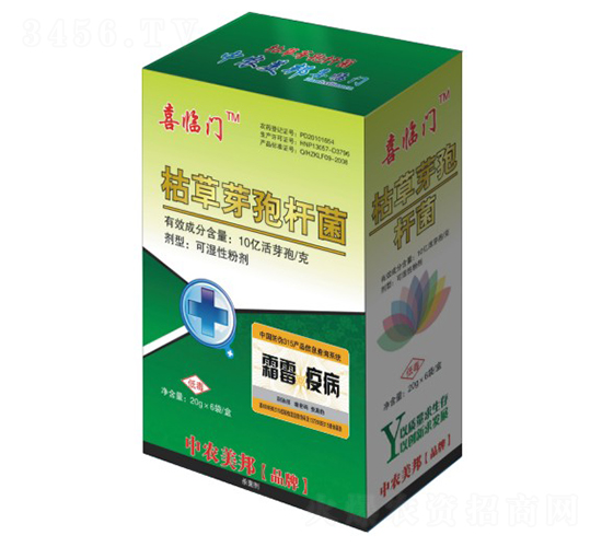 �ݲ�ѿ�ߗU����˪�ס��߲���-ϲ�R�T-���r����