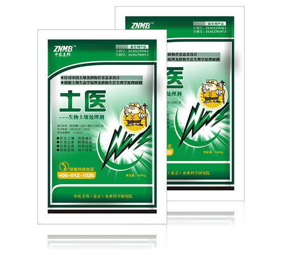 ��������̎�턩-���t-���r����