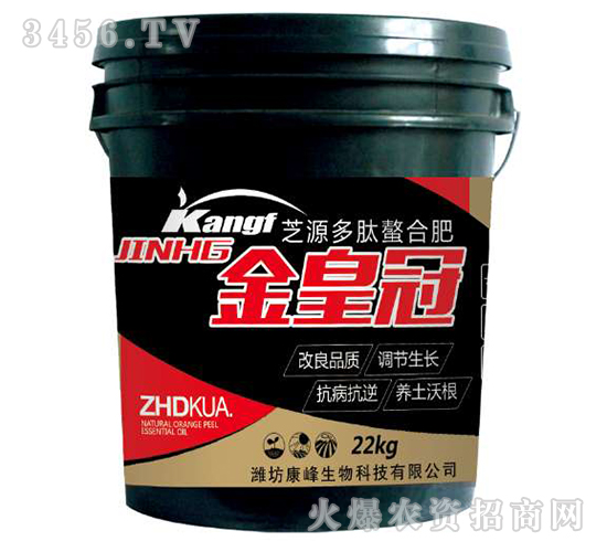 �������Ϸ�-��ʹ�-����