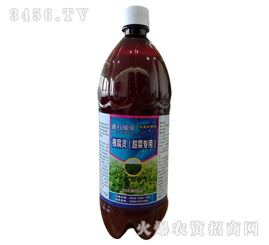 �����`����ˌ��ã�-�ο�ֲ��