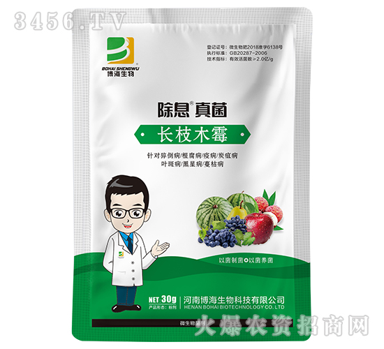 �L֦ľù΢�������-��Ϣ���-��������