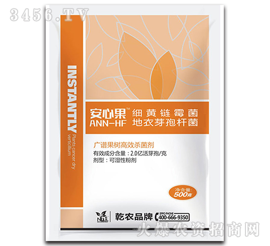 ����V�V�Ԛ�����-���Ĺ�-Ǭ�r