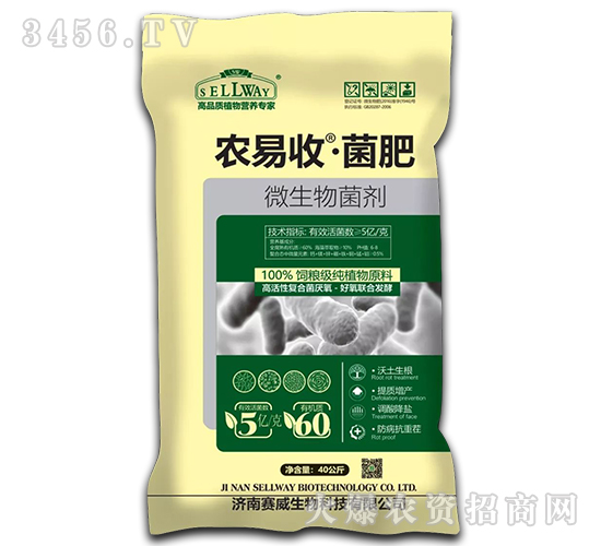 ΢�������-�r����-ِ������