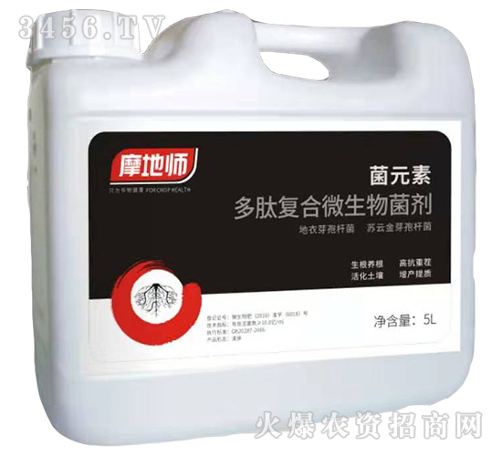 ��Ԫ�ض��ďͺ�΢�������-Ħ�؎�-�������r