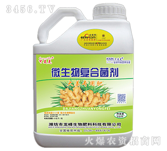 ΢����ͺϾ���-�󽪌���-��������