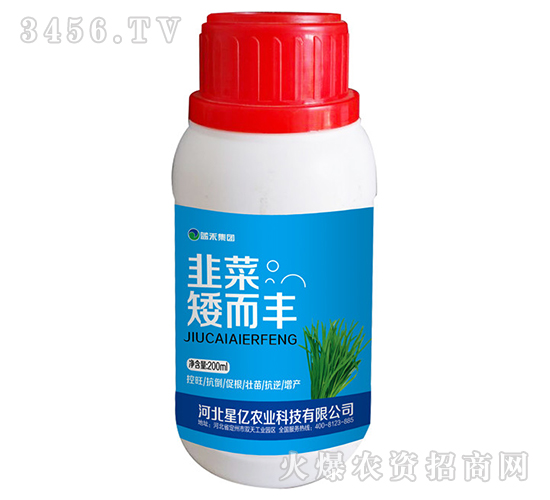 韭菜-矮而豐-藍禾生物