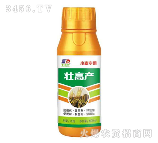 �Ѹ߮a-С������-���~����