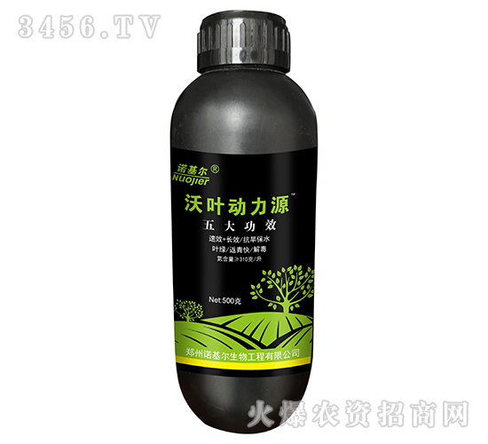 ���~����Դ-�Z����