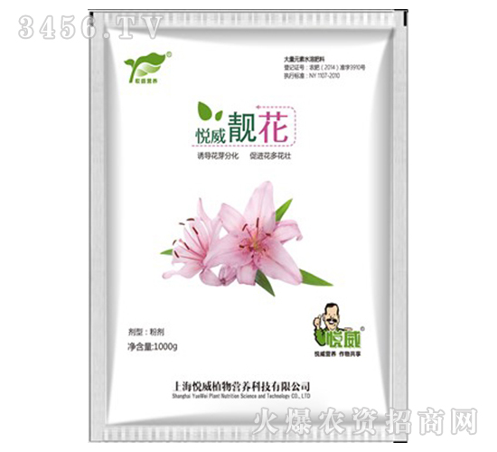 �����n����1000g��-����