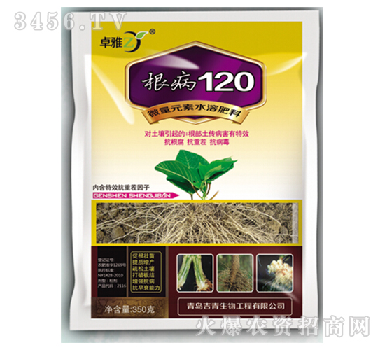 ����120-׿��-����