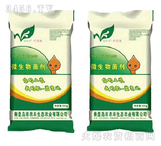 ΢�������-�r�S���B