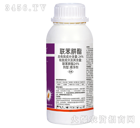 24%�������Ҹ���-���r����