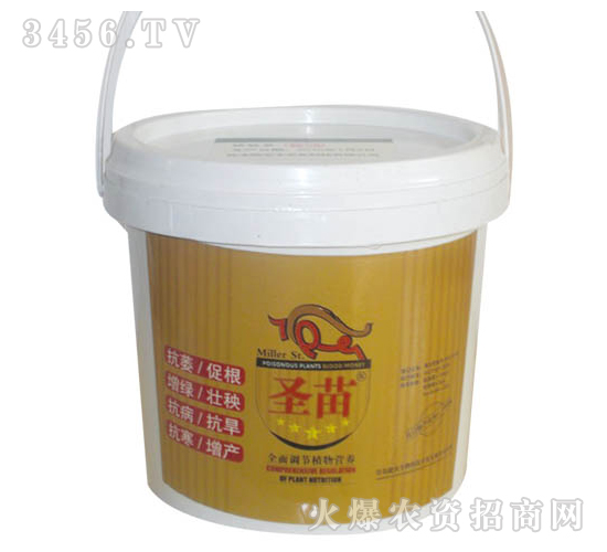 ˮ���ؾ��z���׷�-ʥ��-���r����