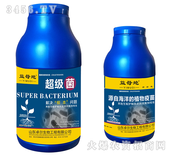 ������-��ĸ��-׿������