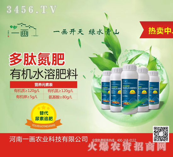 ���ĵ���-һ��(hu��)