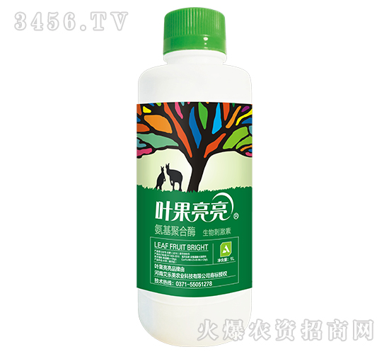 ������-�~������-�����ۺ�ø����̼���