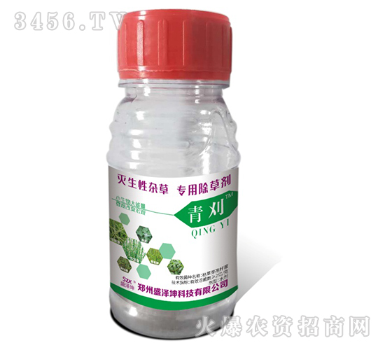 ���ף��t��-ʢ����