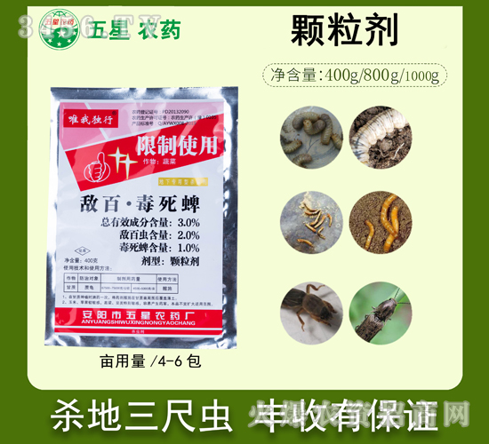 3%���١��������w����-Ψ�Ҫ���-�����r(n��ng)ˎ