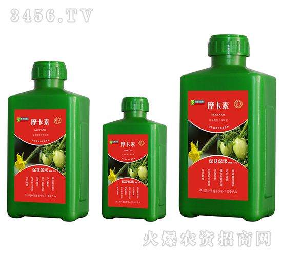 ?；ū９被狎弦弘姆?摩卡素-強芯