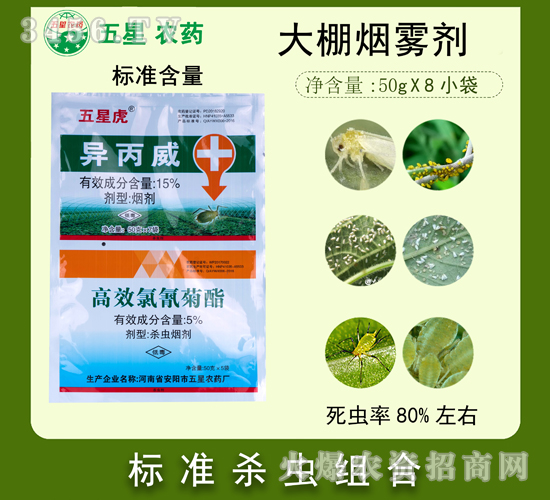 ����F����15%������������-���ǻ�-�����rˎ