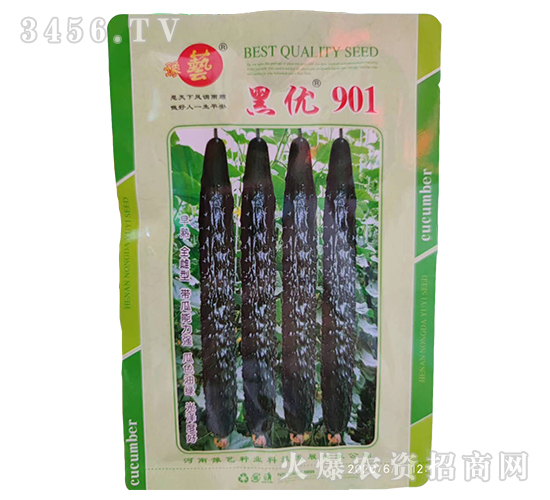 黑優901-黃瓜種子-豫藝