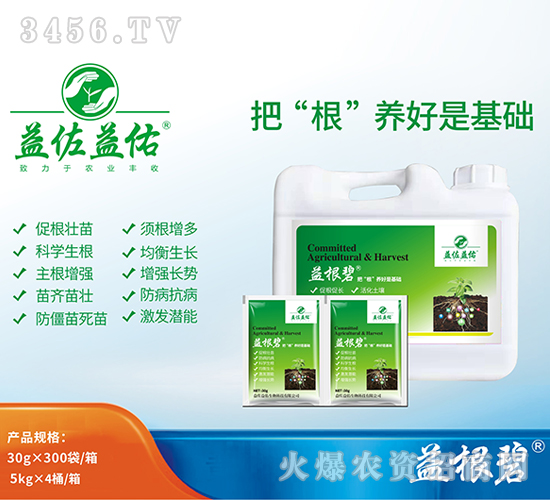 �����-�ѡ������B(y��ng)���ǻ��A-��������