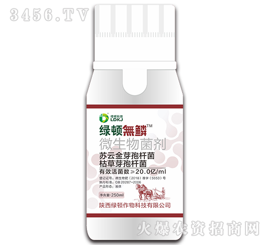 ΢�������-�G�D�o�[-�G�D����