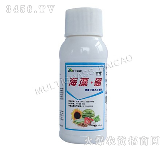 ���塤��-��ï-���ְٲ�