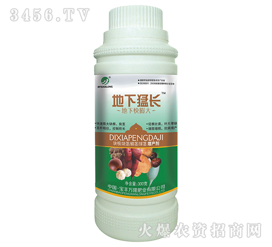 �������L(zh��ng)-���S�f(w��n)¡