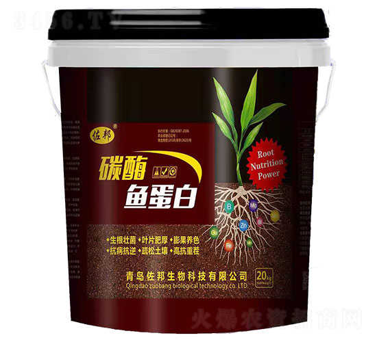 ̼ø�~����-����