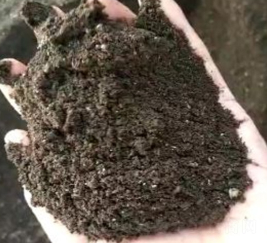 �l�ͼ��u�S-���|�ʘI