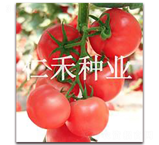 �۠�ԪF6-�۹����ѷN��-�ʺ̷N�I