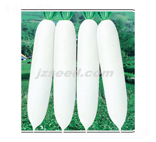 �h�׽�-�}���N��-�F���N�I