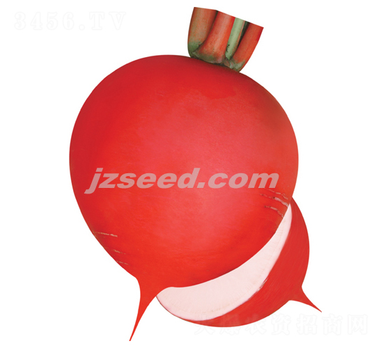 ���@�t��-�}���N��-�F���N�I