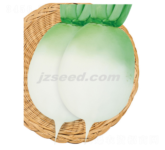 ���@ɰ��-�}���N��-�F���N�I