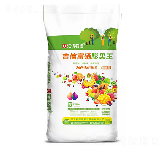 ���Ÿ��������-�r���ʘI