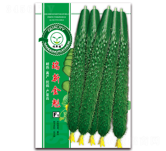 ���½��-�S�ϷN��-�|���S