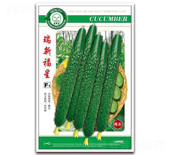 ���¸���-�S�ϷN��-�|���S