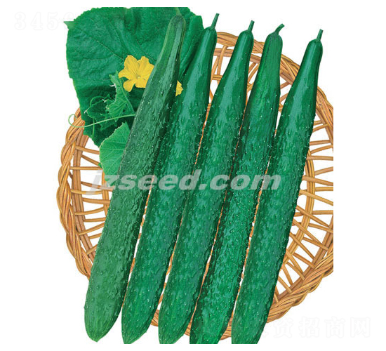 �n�д���-�S�ϷN��-�F���N�I