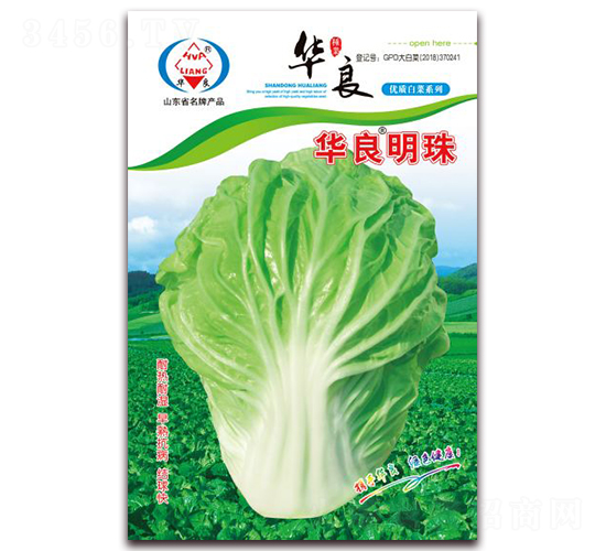 �A������-��ײ˷N��-�A���N�I