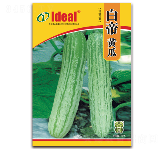 �׵��S��-�S�ϷN��-�����r�I