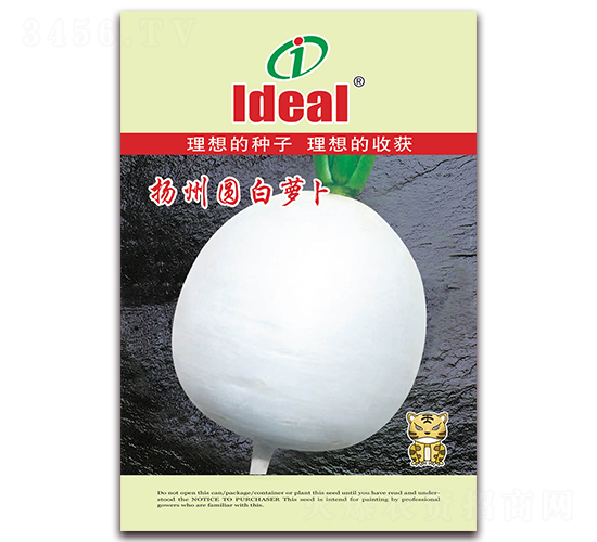 �P�݈A���}��-�}���N��-�����r�I