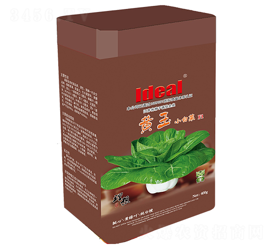 黃玉小白菜-小白菜種子-理想農業(yè)