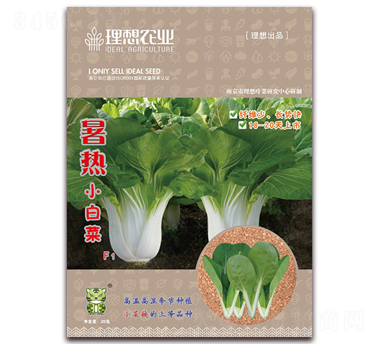 暑熱-青梗菜種子-理想農業