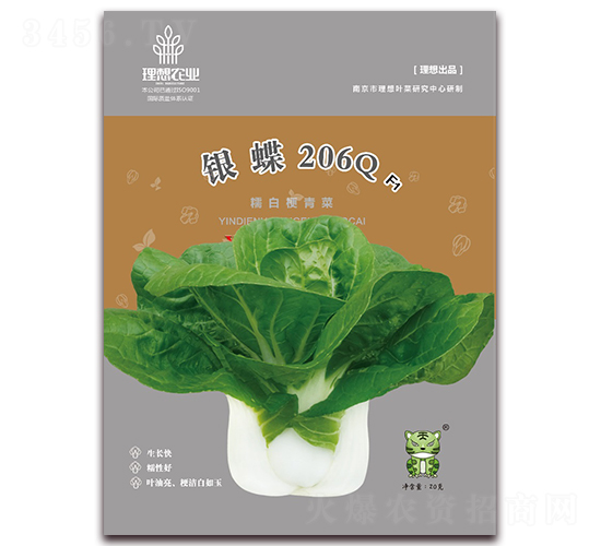 銀蝶206Q-青梗菜種子-理想農業