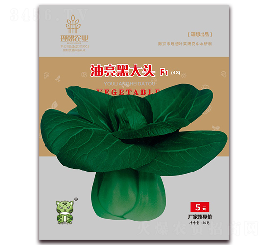 �����ڴ��^-�๣�˷N��-�����r�I