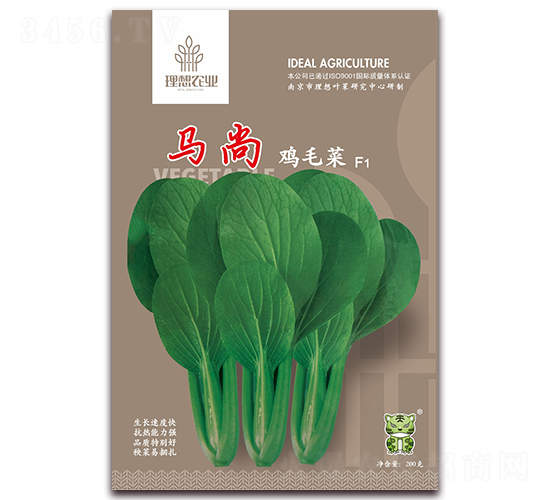 �R���uë��-�๣�˷N��-�����r�I