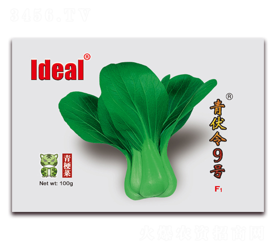 �����9̖-�๣�˷N��-�����r�I