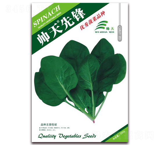 �������h-���˷N��-����